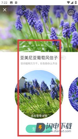 形色 第8张图
