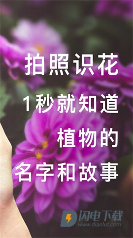 形色APP