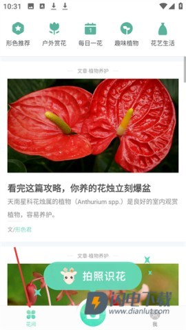 形色 第2张图