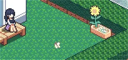 寻找夏日的宝物 第11张图