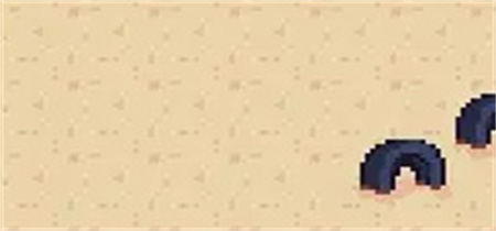 寻找夏日的宝物 第12张图