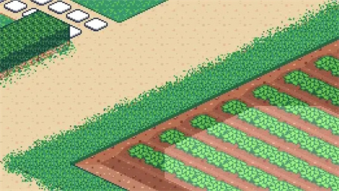 寻找夏日的宝物 第9张图