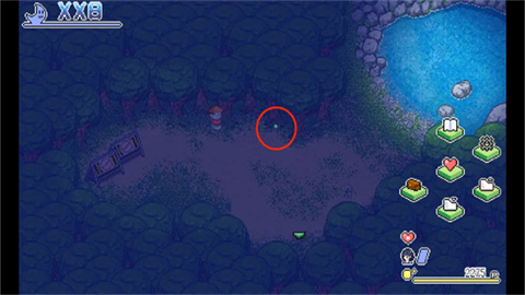 寻找夏日的宝物游戏