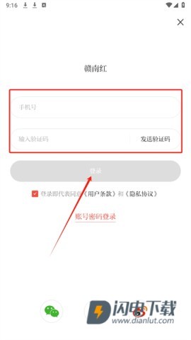 赣南红 第11张图