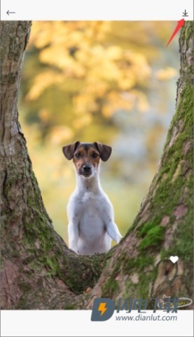 引擎桌面壁纸 第4张图