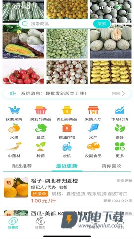 趣批发 第1张图