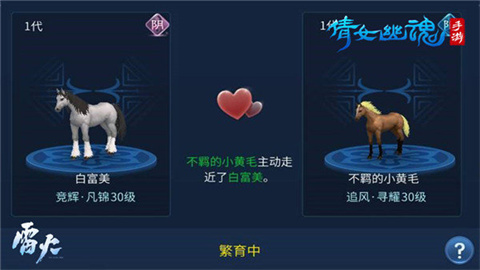 倩女幽魂手游正版 第7张图