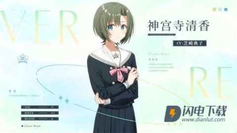 四叶草的花语 第4张图