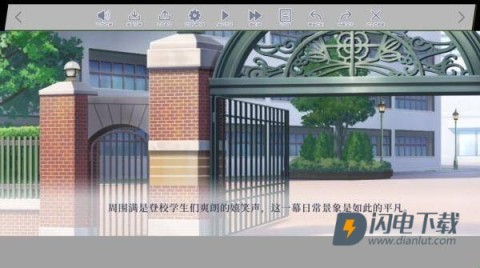 四叶草的花语 第8张图