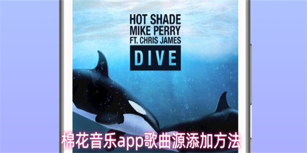棉花音乐app歌曲源添加方法