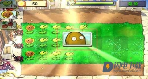 植物大战僵尸HD版 第4张图