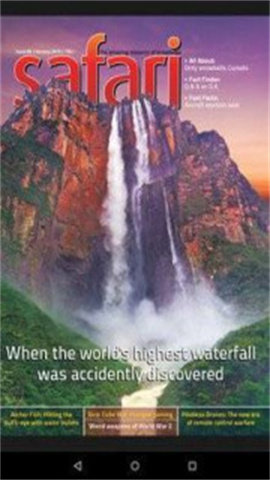 手机safari浏览器