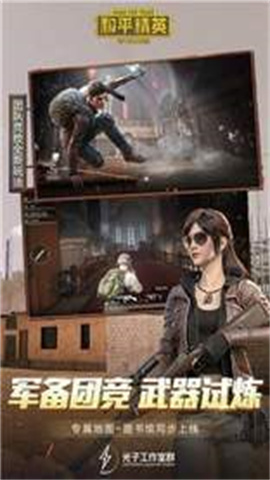 和平精英直装科技 第2张图