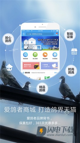 爱鸽者app下载官方安卓版