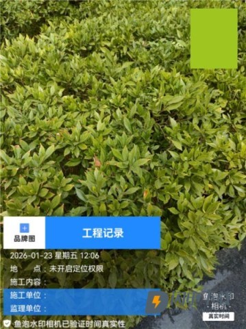 鱼泡水印相机 第1张图