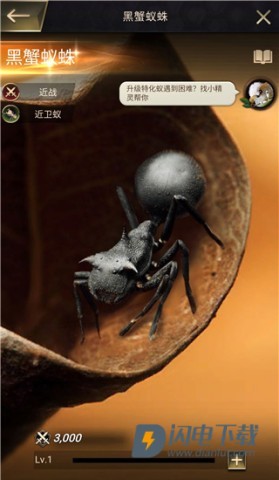 小小蚁国国际服 第6张图