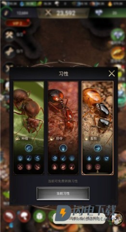 小小蚁国国际服 第5张图