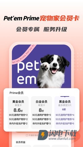 宠物家 第1张图