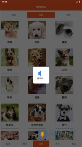 萌趣猫狗翻译器 第4张图