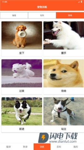 萌趣猫狗翻译器 第5张图