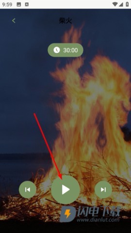 竹林鸟 第4张图