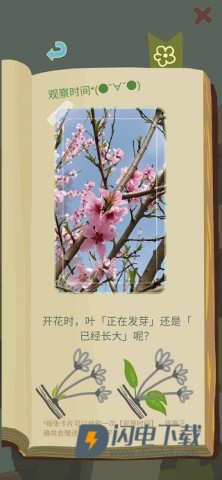 老农种树 第5张图