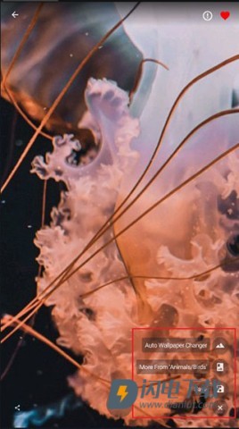 4K Wallpapers 第3张图