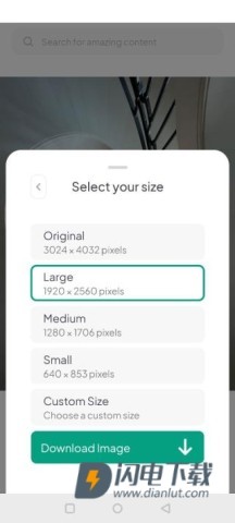 Pexels最新版 第6张图