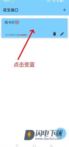 花生端口 第4张图