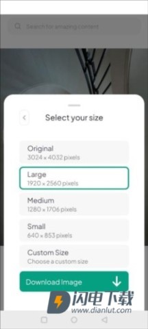 pexels素材 第6张图