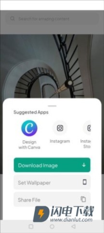 pexels素材 第5张图