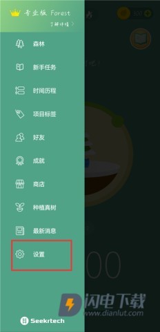 Forest 第14张图