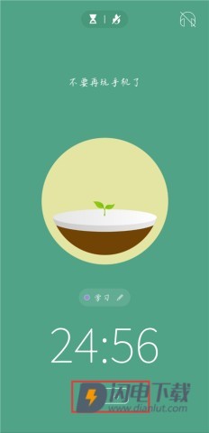 Forest 第4张图