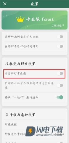 Forest 第15张图