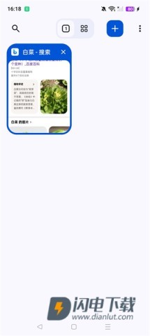 Cromite浏览器 第3张图
