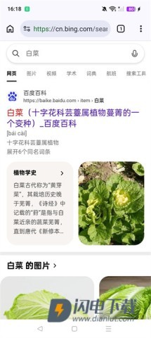 Cromite浏览器 第2张图