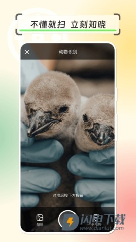 拍物轻松识 第3张图