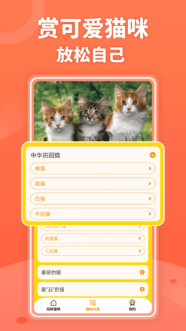 招财进猫APP