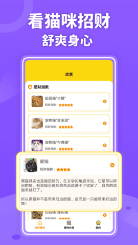 招财进猫APP