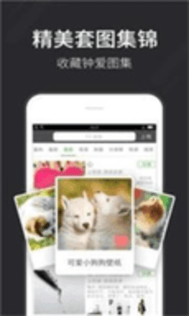 全自动壁纸APP