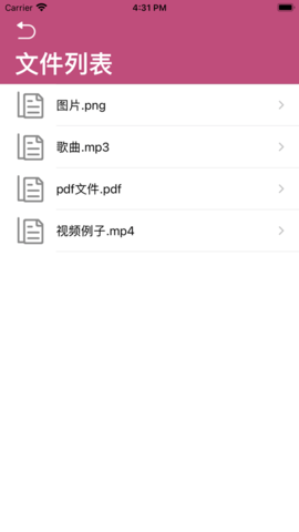 白驹文件APP