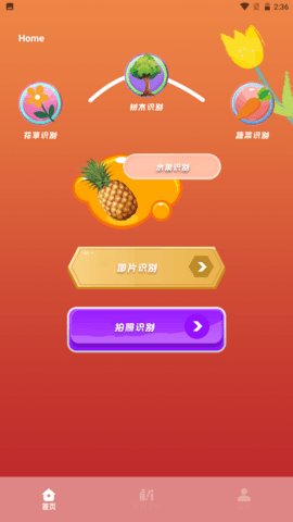 plantae植物识别软件 第1张图