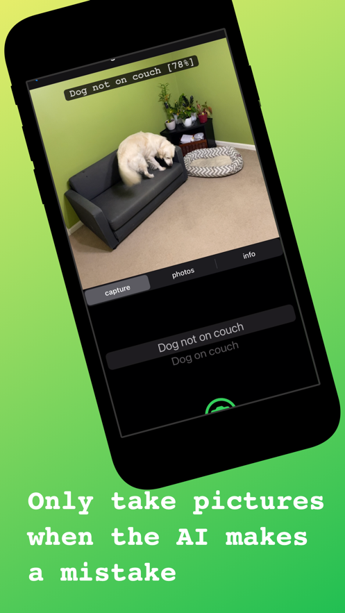 PalapaAPP