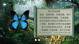 AR互动百科APP