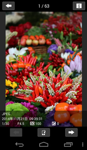 0.3MPAPP