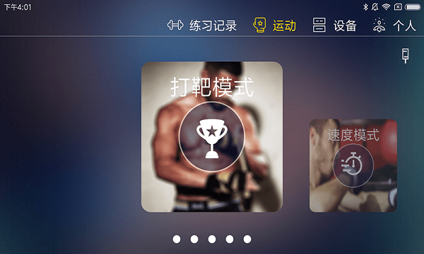 TataPunch智能APP