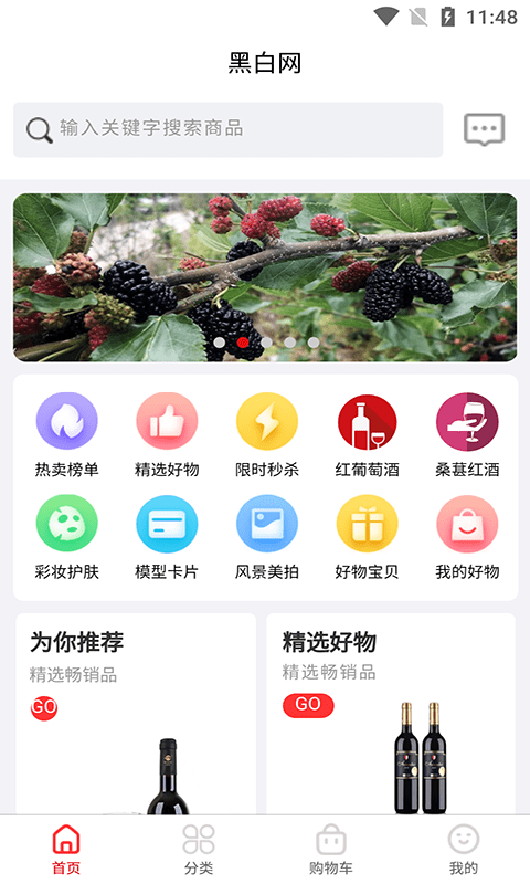 黑白网APP