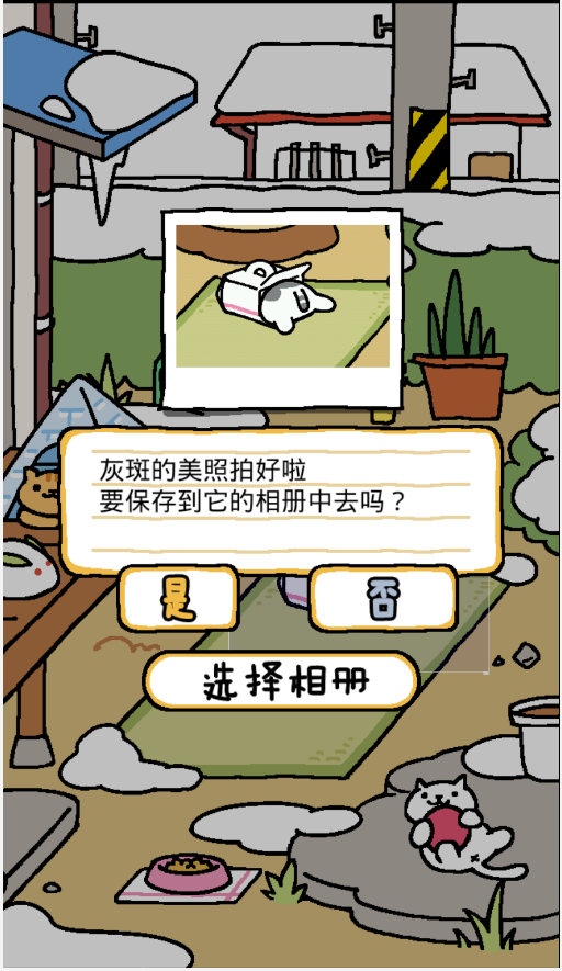 猫咪后院中文版游戏