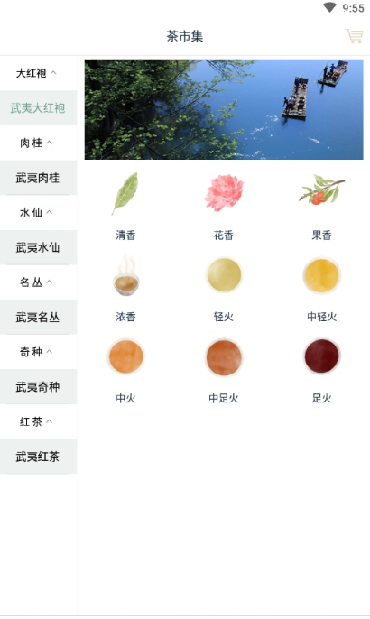 茶知了APP