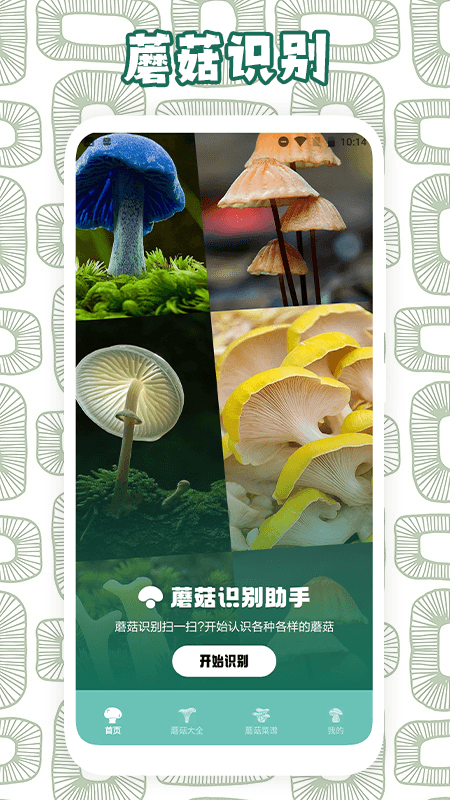 蘑菇识别助手APP